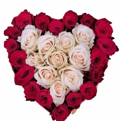 Valentýnské srdce růží EDITH střední