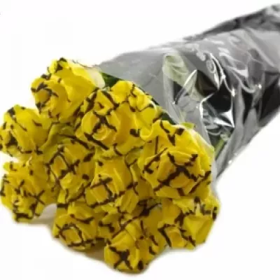 Žlutá růže CHOCOLAT STRIP YELLOW